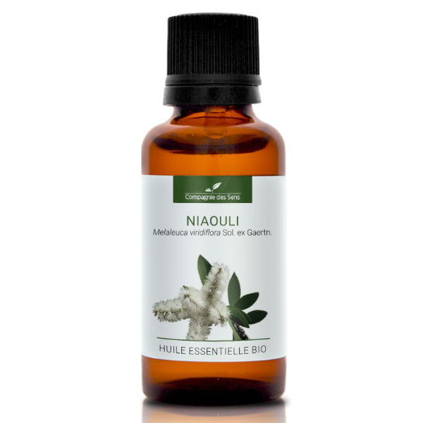 Niaouli - naturalny olejek eteryczny 30 ml