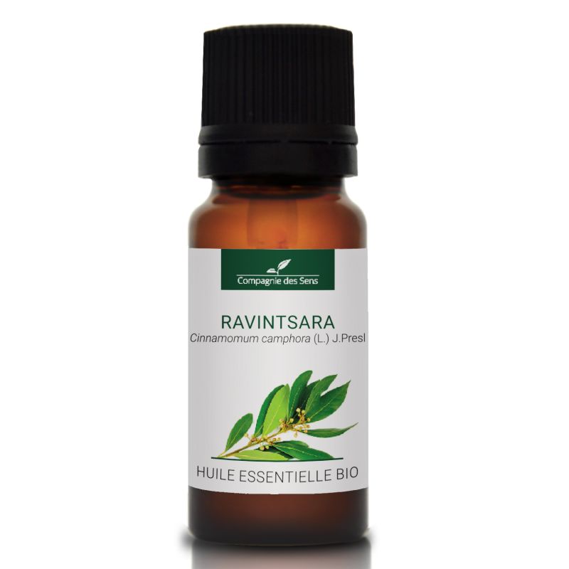 Cynamonowiec kamforowy Ravintsara - naturalny olejek eteryczny 10 ml